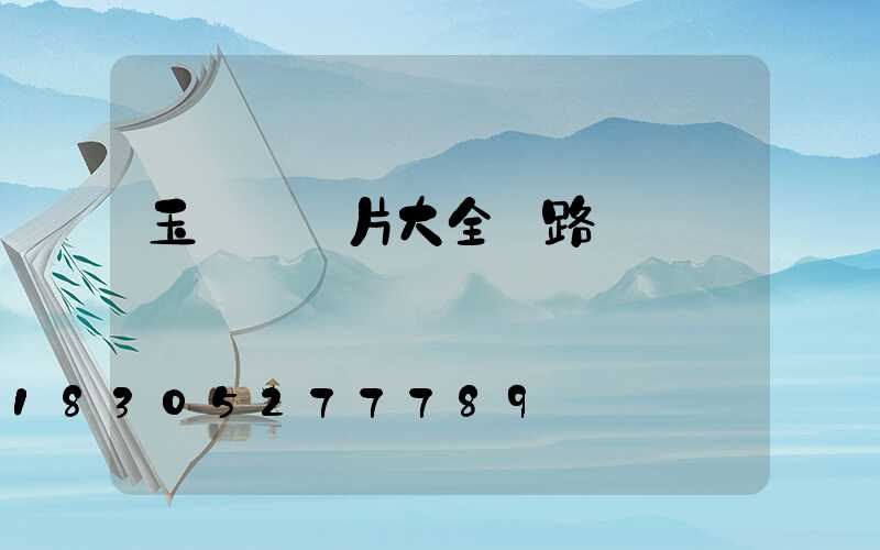 玉蘭燈圖片大全 路燈